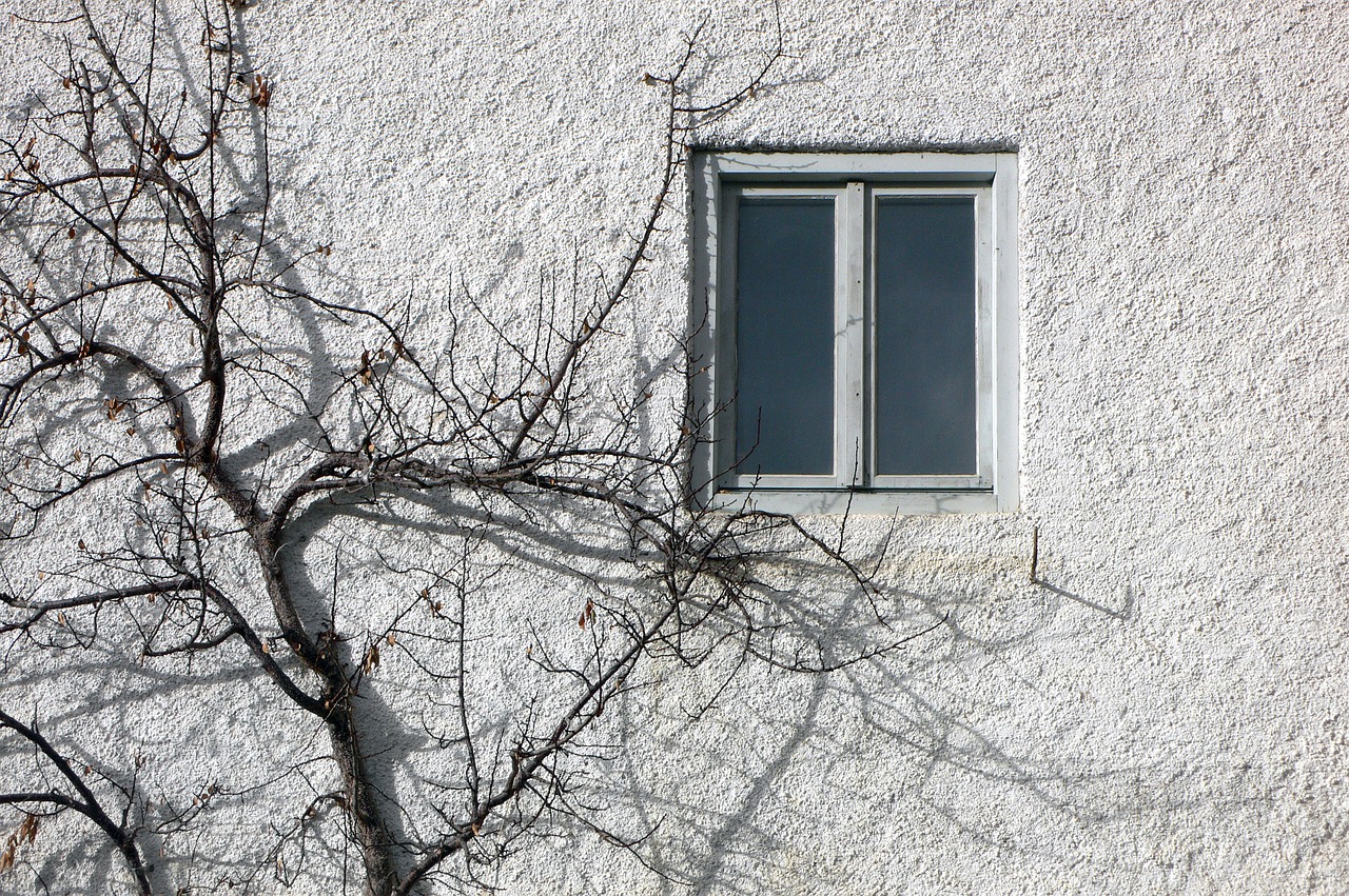 Wybór odpowiednich okien i drzwi: Wskazówki dotyczące wyboru odpowiednich okien i drzwi do domu pod względem estetyki, bezpieczeństwa i energooszczędności.